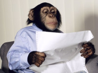 История Федора Чижова