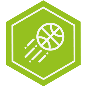 Тренировки с профессионалами Тренировки с профессионалами